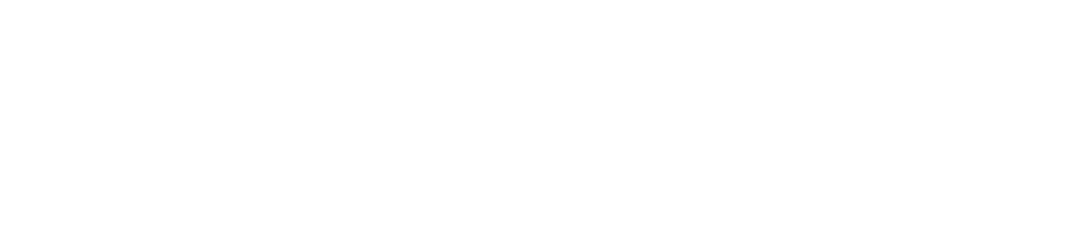 Logo da koppe consultoria em branco.